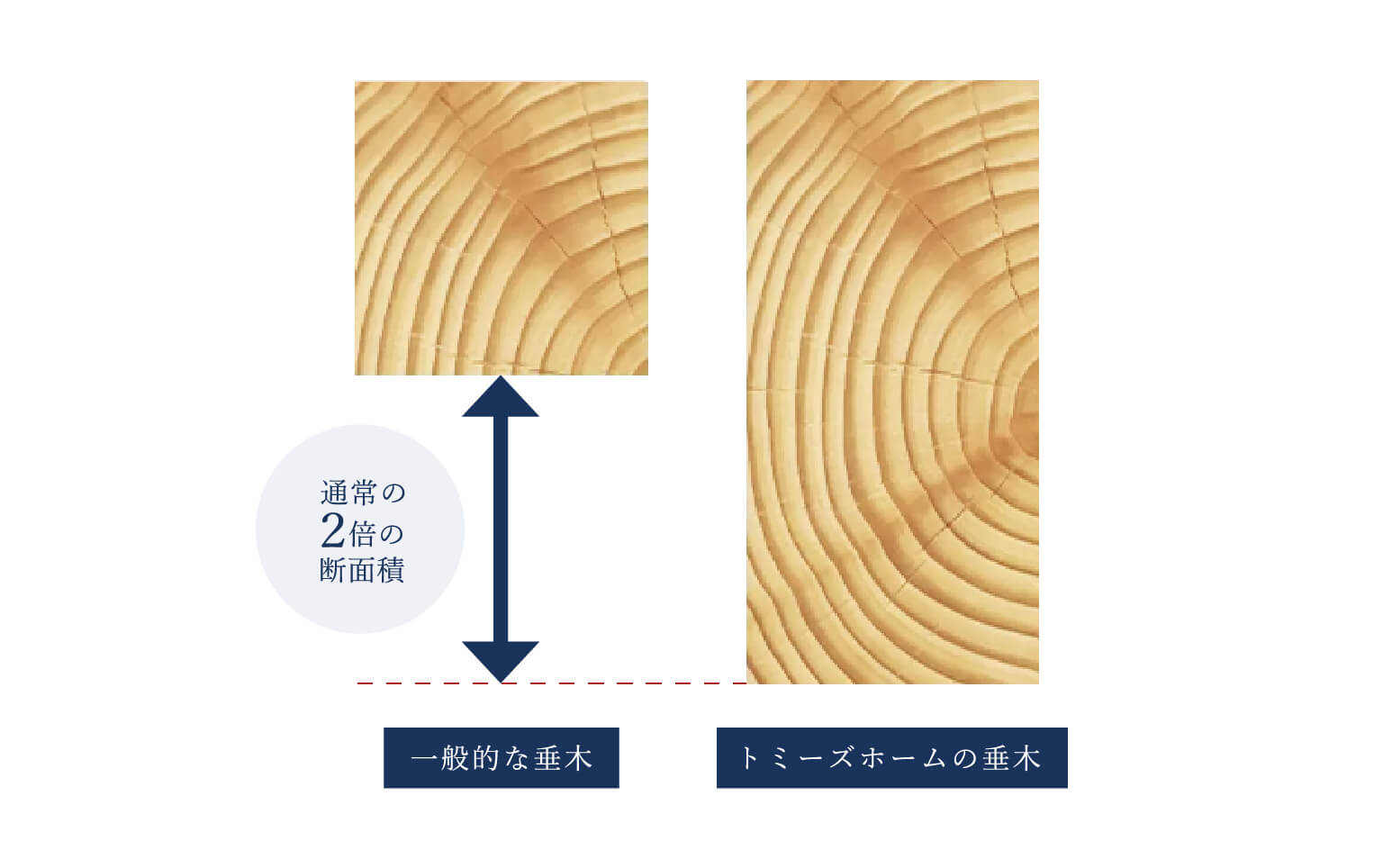 強い「屋根」